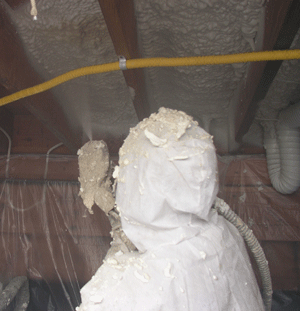 Charlottetown PE crawl space insulation