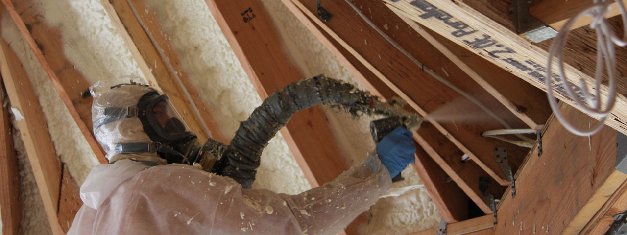 Charlottetown Prince Edward Island Attic Insulation Spray Foam